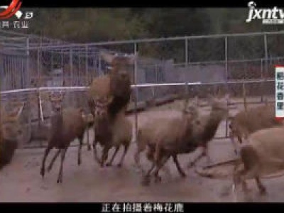 稻花香里20190227