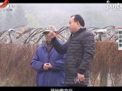 稻花香里20190122