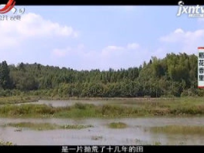 稻花香里20181017