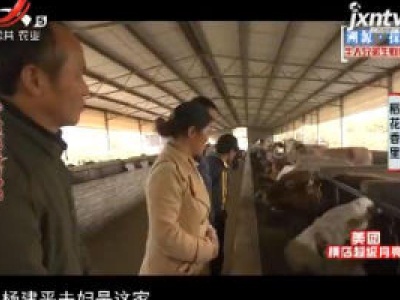 稻花香里20180920