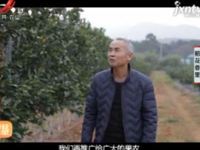 稻花香里20190131