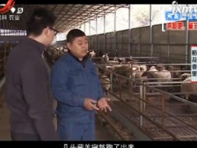 稻花香里20181214