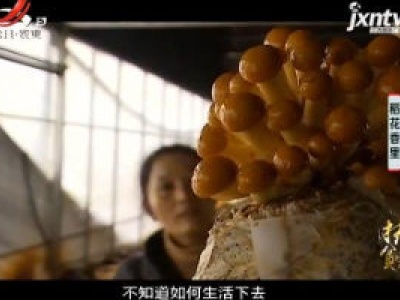 稻花香里20190103