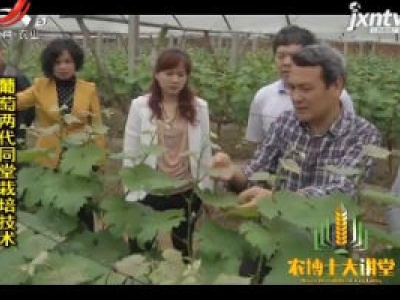 农博士大讲堂20200103 葡萄两代同堂栽培技术