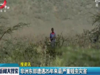 非洲东部遭遇25年来最严重蝗虫灾害