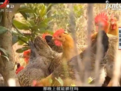稻花香里20200114