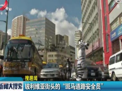 玻利维亚街头的“斑马道路安全员”