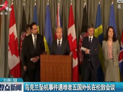乌克兰坠机事件遇难者五国外长在伦敦会谈