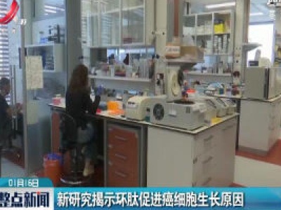 新研究揭示环肽促进癌细胞生长原因