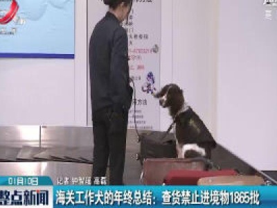 海关工作犬的年终总结：查获禁止进境物1865批