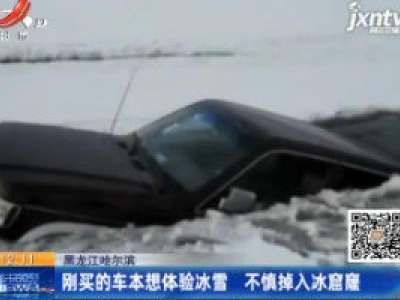 黑龙江哈尔滨：刚买的车本想体验冰雪 不慎掉入冰窟窿