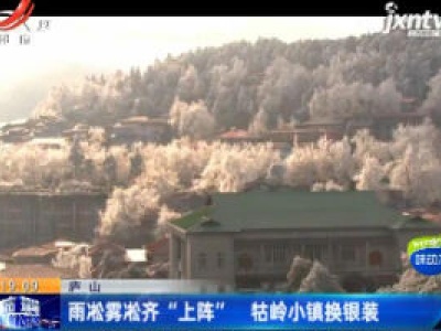 庐山：雨凇雾凇齐“上阵” 牯岭小镇换银装