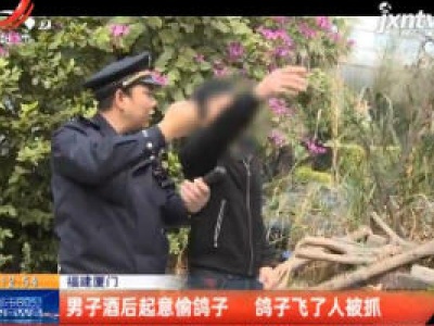 福建厦门：男子酒后起意偷鸽子 鸽子飞了人被抓