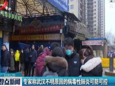 专家称武汉不明原因的病毒性肺炎可防可控