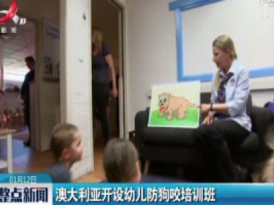 澳大利亚开设幼儿防狗咬培训班