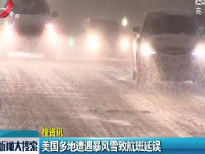 美国多地遭遇暴风雪致航班延误