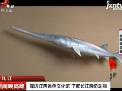 九江：探访江西省鱼文化馆 了解长江濒危动物