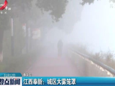 江西奉新：城区大雾笼罩