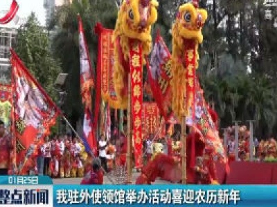 我驻外使馆举办活动喜迎农历新年