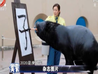 海狮写“子” 如此大作该叫“狮子作”