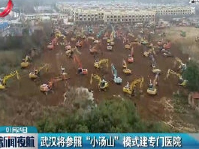 武汉将参照“小汤山”模式建专门医院