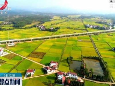 农发行江西分行：粮棉油条线贷款实现“八连增”