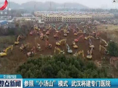 参照“小汤山”模式 武汉将建专门医院