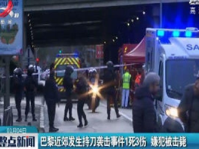巴黎近郊发生持刀袭击事件1死3伤 嫌犯被击毙