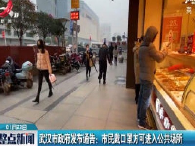 武汉市政府发布通告：市民戴口罩方可进入公共场所