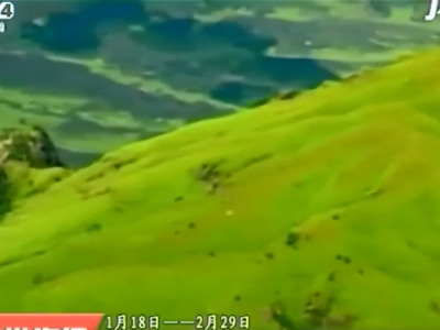 1月18日——2月29日：新春福利！ 萍乡武功山景区免票43天