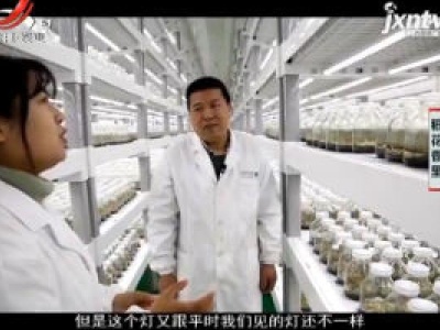 稻花香里20200116