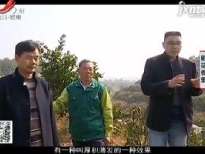 稻花香里20200115