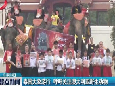 泰国大象游行 呼吁关注澳大利亚野生动物