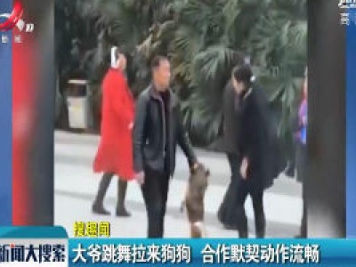 大爷跳舞拉来狗狗 合作默契动作流畅