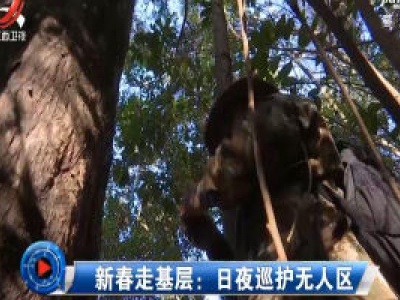 社会传真20200118 新春走基层：日夜巡护无人区