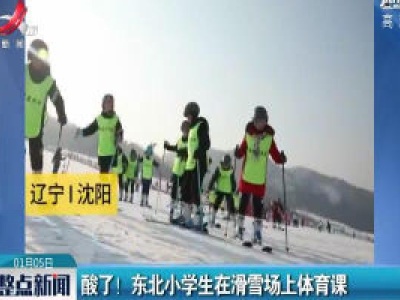 辽宁沈阳：酸了！ 东北小学生在滑雪场上体育课