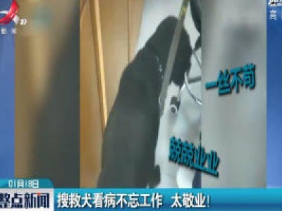山西阳泉：搜救犬看病不忘工作 太敬业！