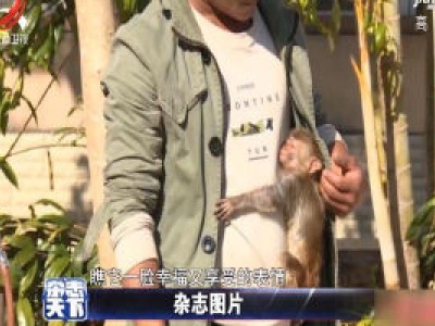 云南小猕猴被救 抱恩人不愿离去
