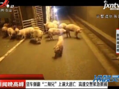 西安：货车侧翻“二师兄”上演大逃亡 高速交警紧急抓捕