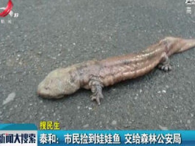 泰和：市民捡到娃娃鱼 交给森林公安局