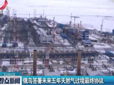 俄乌签署未来五年天然气过境最终协议