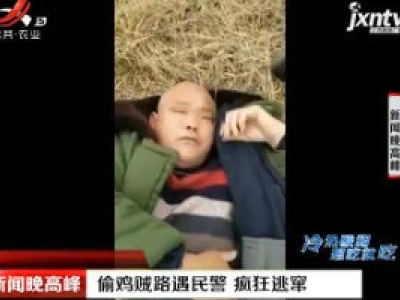 安徽：偷鸡贼路遇民警 疯狂逃窜