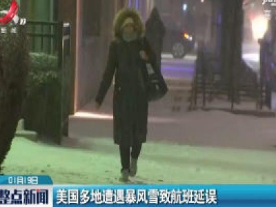 美国多地遭遇暴风雪致航班延误