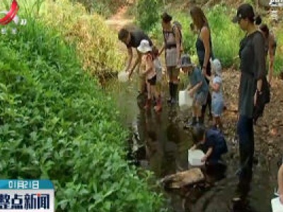 澳大利亚丛林户外早教课程益处多
