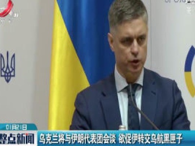 乌克兰将于伊朗代表团会谈 欲促伊转交乌航黑匣子
