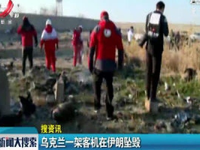 乌克兰一架客机在伊朗坠毁