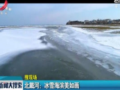 北戴河：冰雪海滨美如画