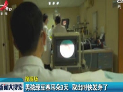 广东东莞：男孩绿豆塞耳朵3天 取出时快发芽了