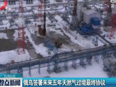 俄乌签署未来五年天然气过境最终协议