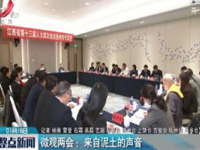 微观两会：来自泥土的声音